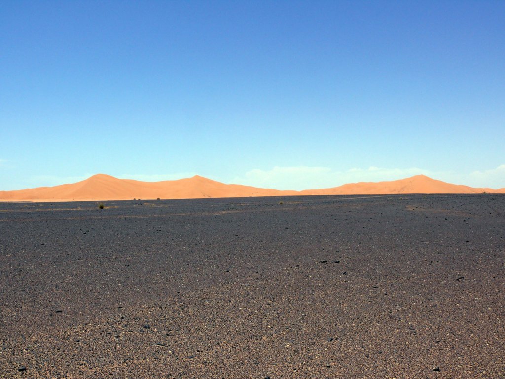 ergchebbi4.jpg