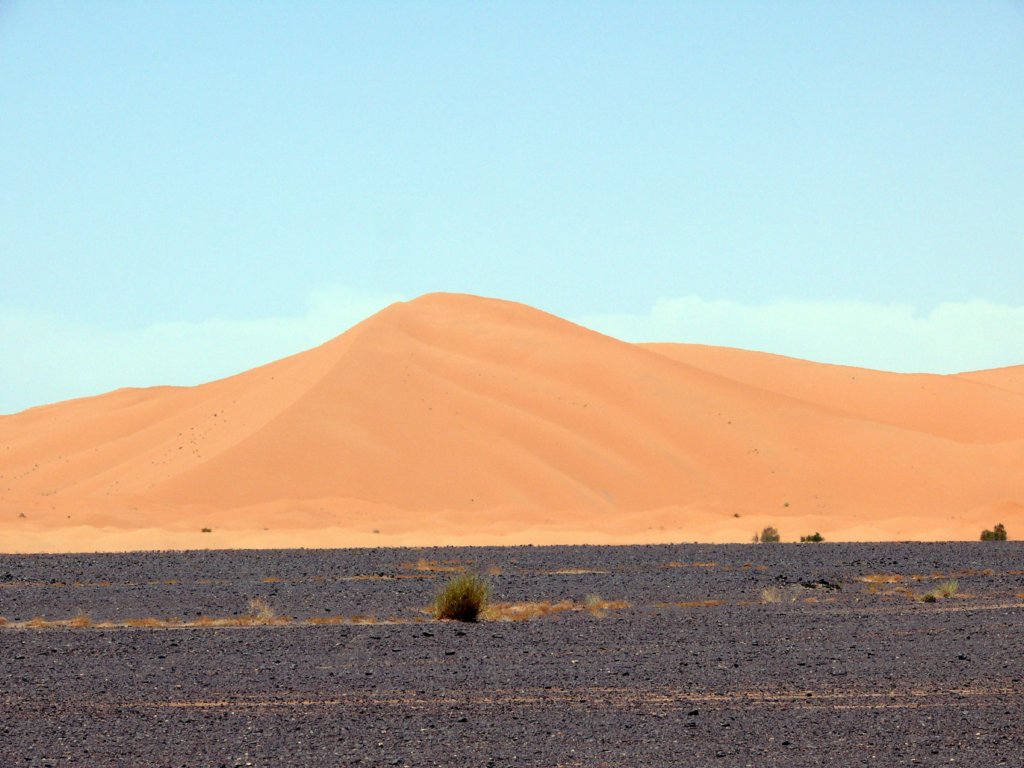 ergchebbi5.jpg